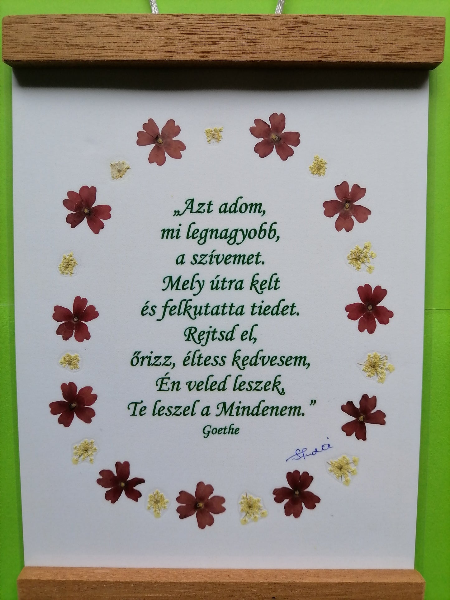 Aplică pe perete, Azt adom.... Goethe – Flori presate